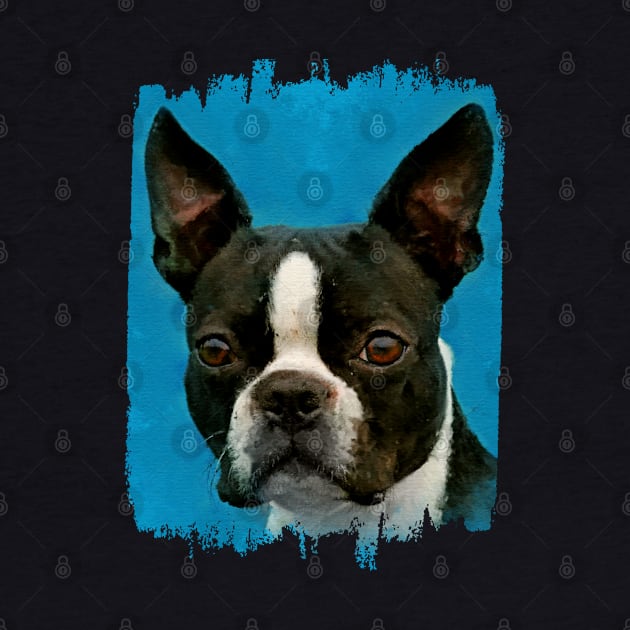 Boston Terrier dog by Nartissima